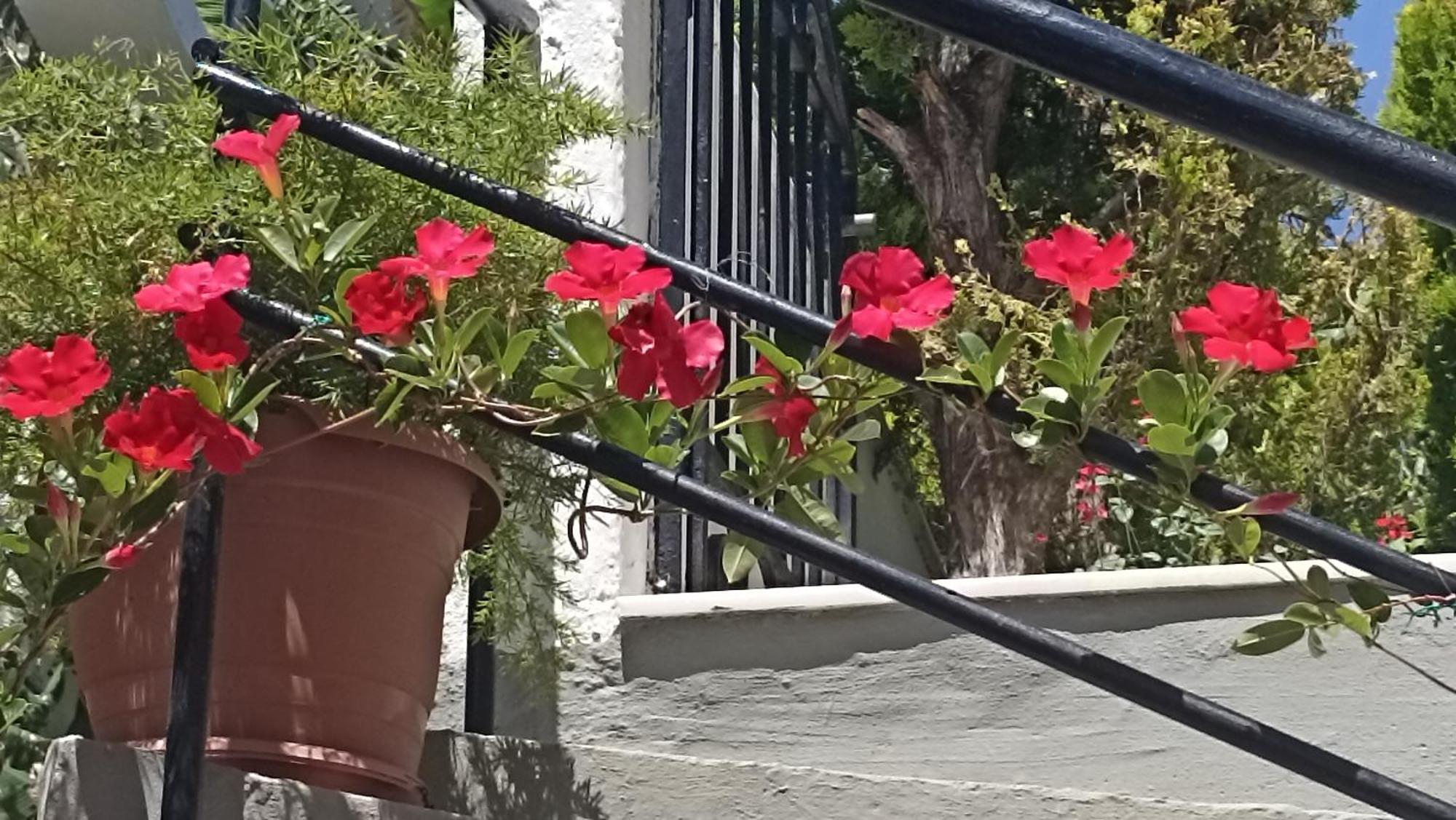 Charming Garden Apartment Rhodes City 外观 照片